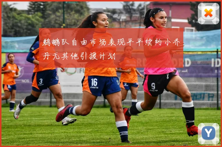 鹈鹕队自由市场表现平平续约小乔丹无其他引援计划